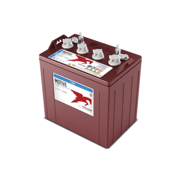 202301-T-875-Flooded-8V-615__415-L 8 volt